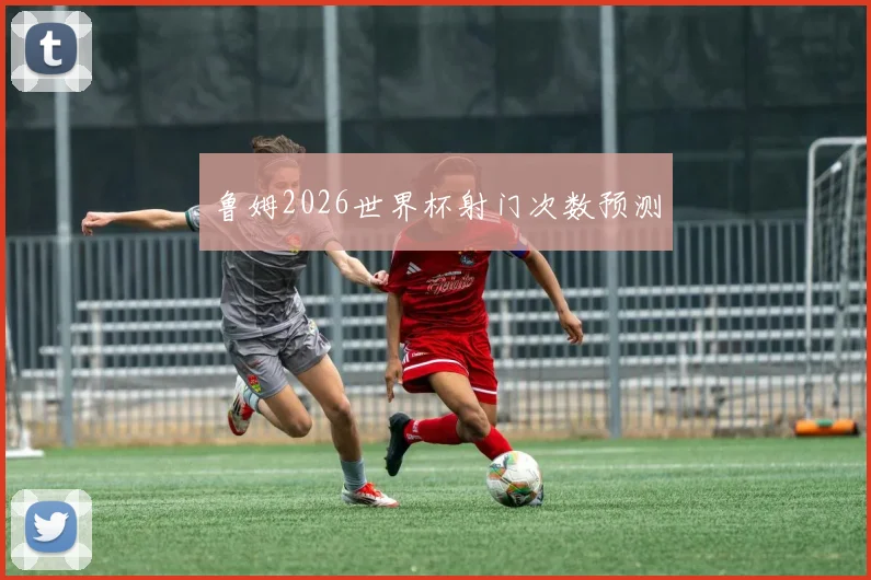 鲁姆2026世界杯射门次数预测