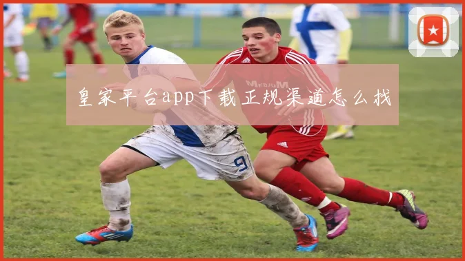 皇家平台app下载正规渠道怎么找
