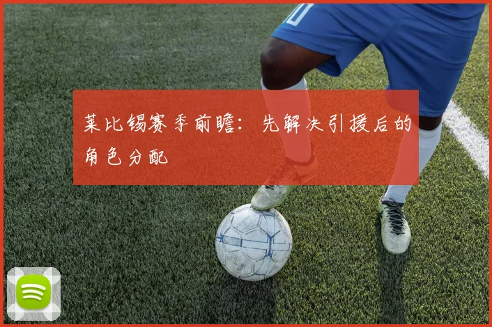 莱比锡赛季前瞻:先解决引援后的角色分配