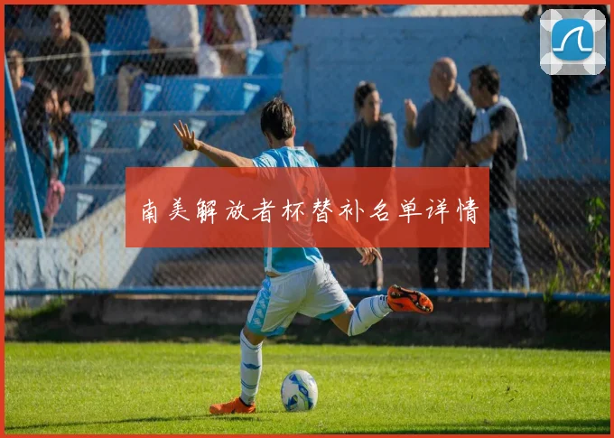 南美解放者杯替补名单详情