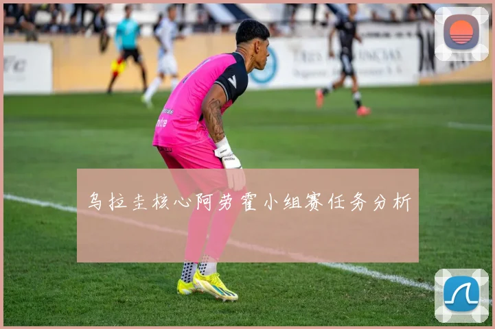乌拉圭核心阿劳霍小组赛任务分析